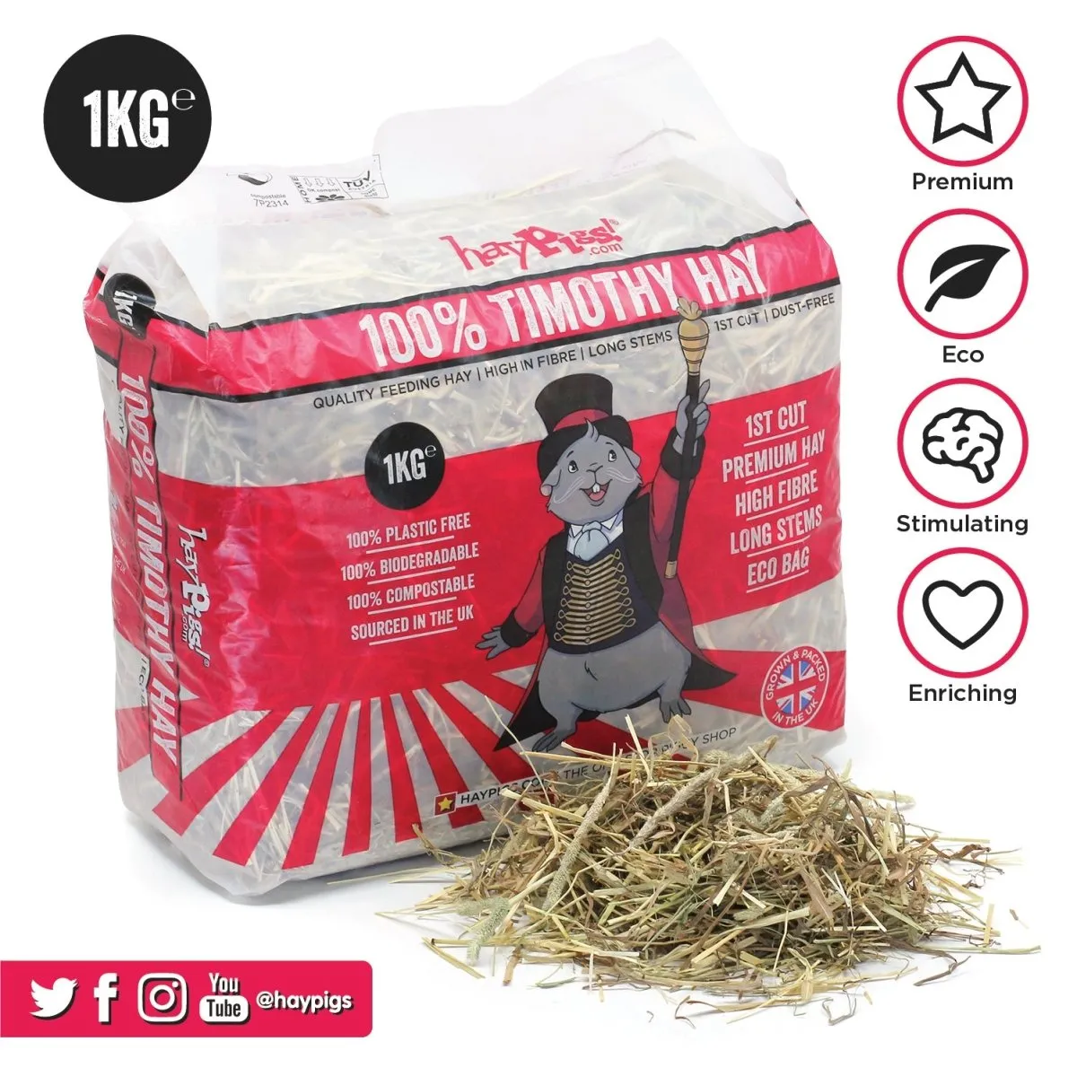HayPigs Timothy hooi 1 kg cavia konijn vezelrijk