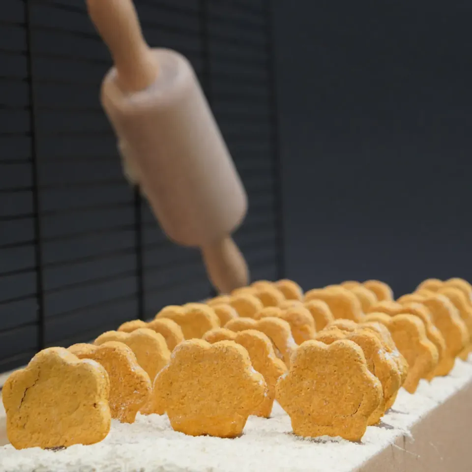 Jouw Cavia Tasty Tomato Cookies snack tomaat