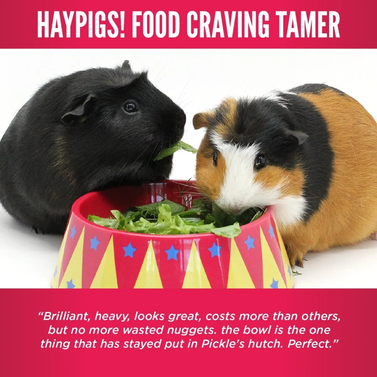 HayPigs Food Craving Tamer voerbak cavia 2 cups circus
