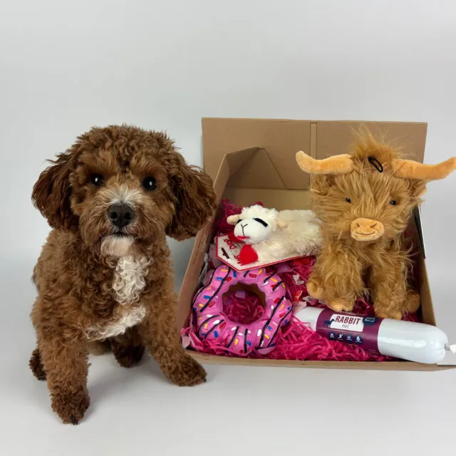 Nature First Love Box hondenspeelgoed set 4-delig