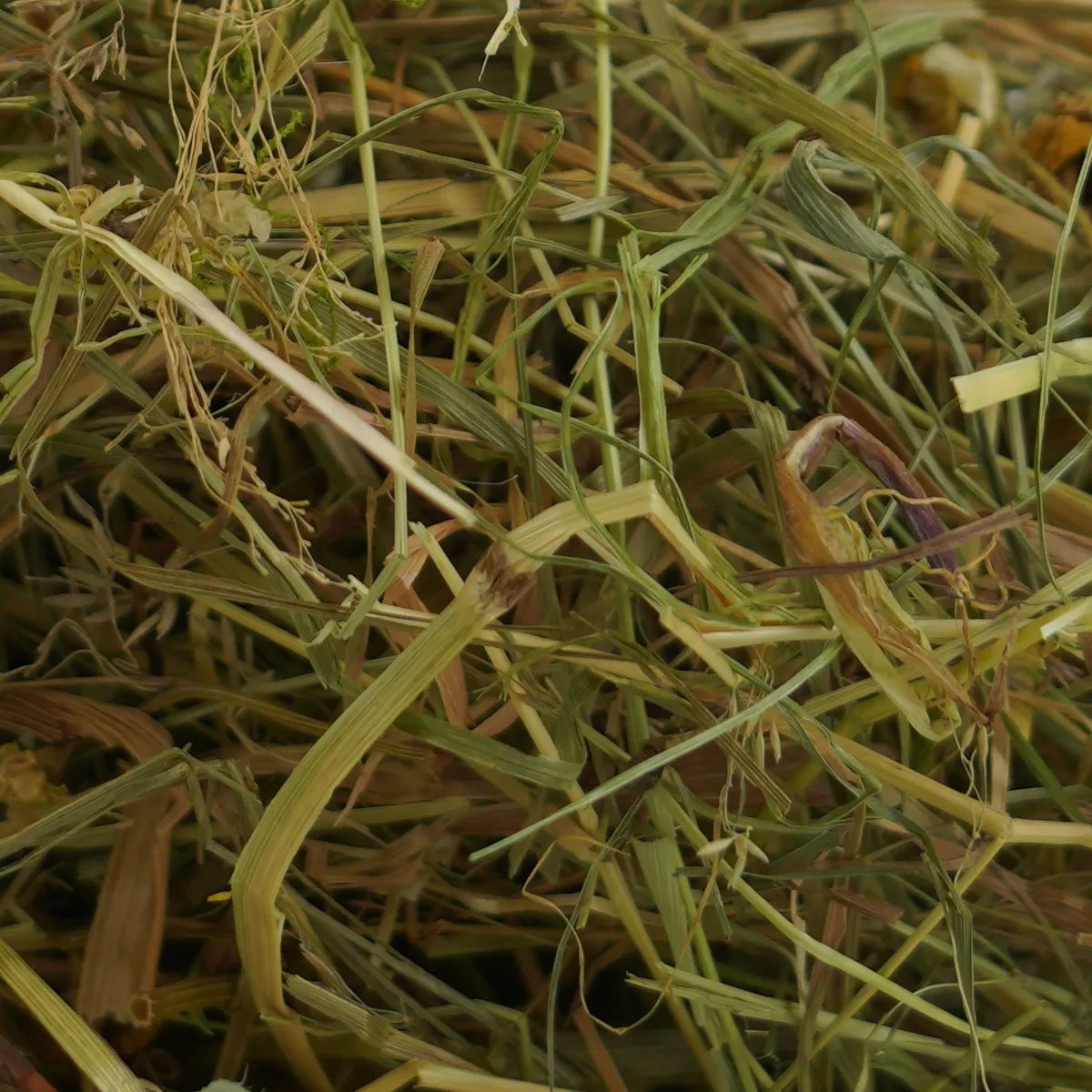 Jouw Konijn Originals KonaCorn kruidenhooi kamille echinacea