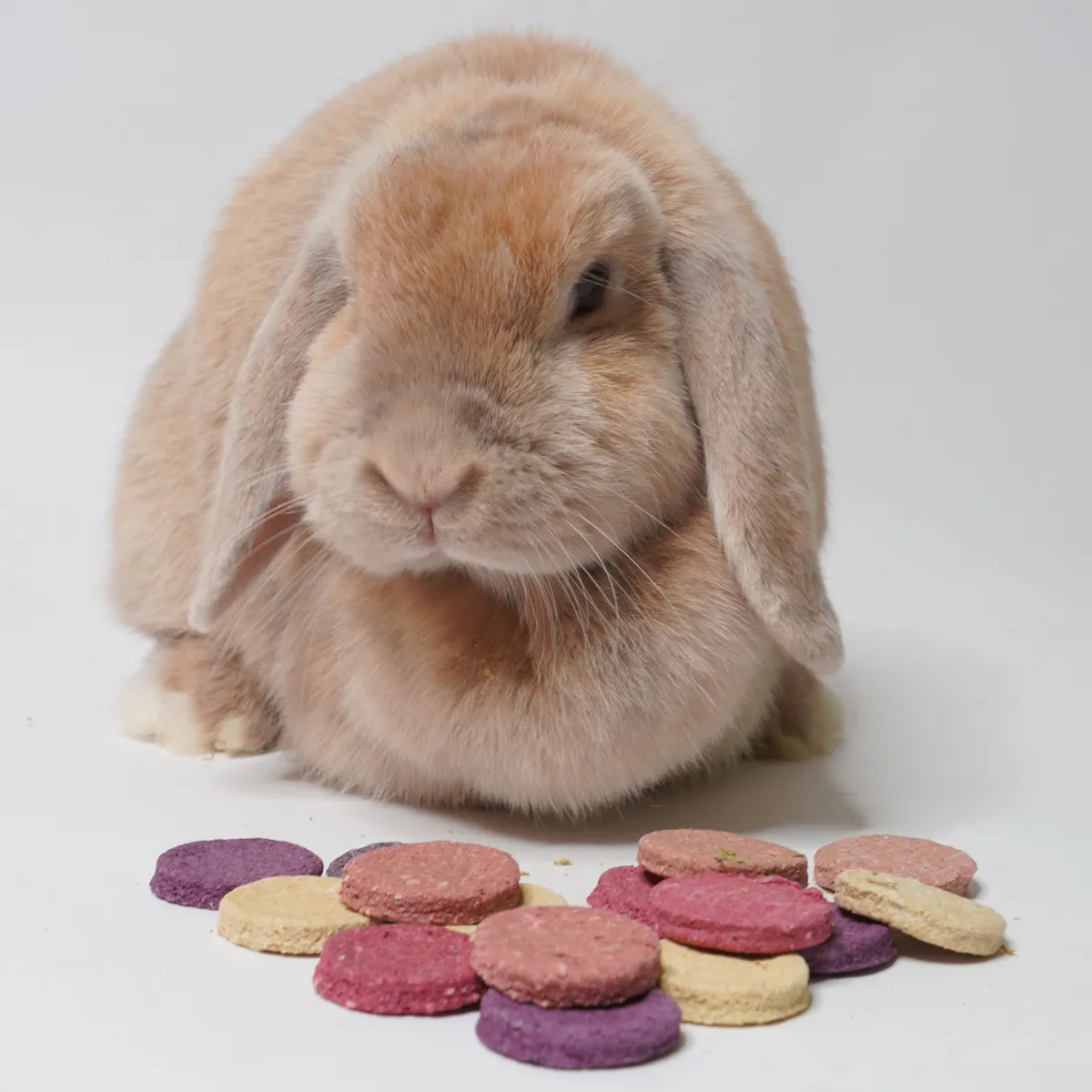 Jouw Konijn Originals Cookie koekjesbox variety