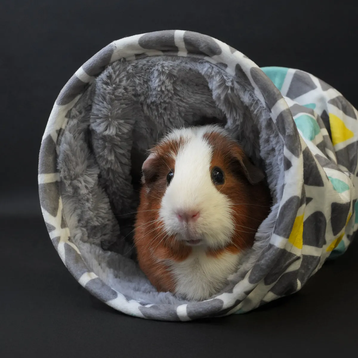 Jouw Cavia Snuggle Flexi-Tunnel stoffen speeltunnel