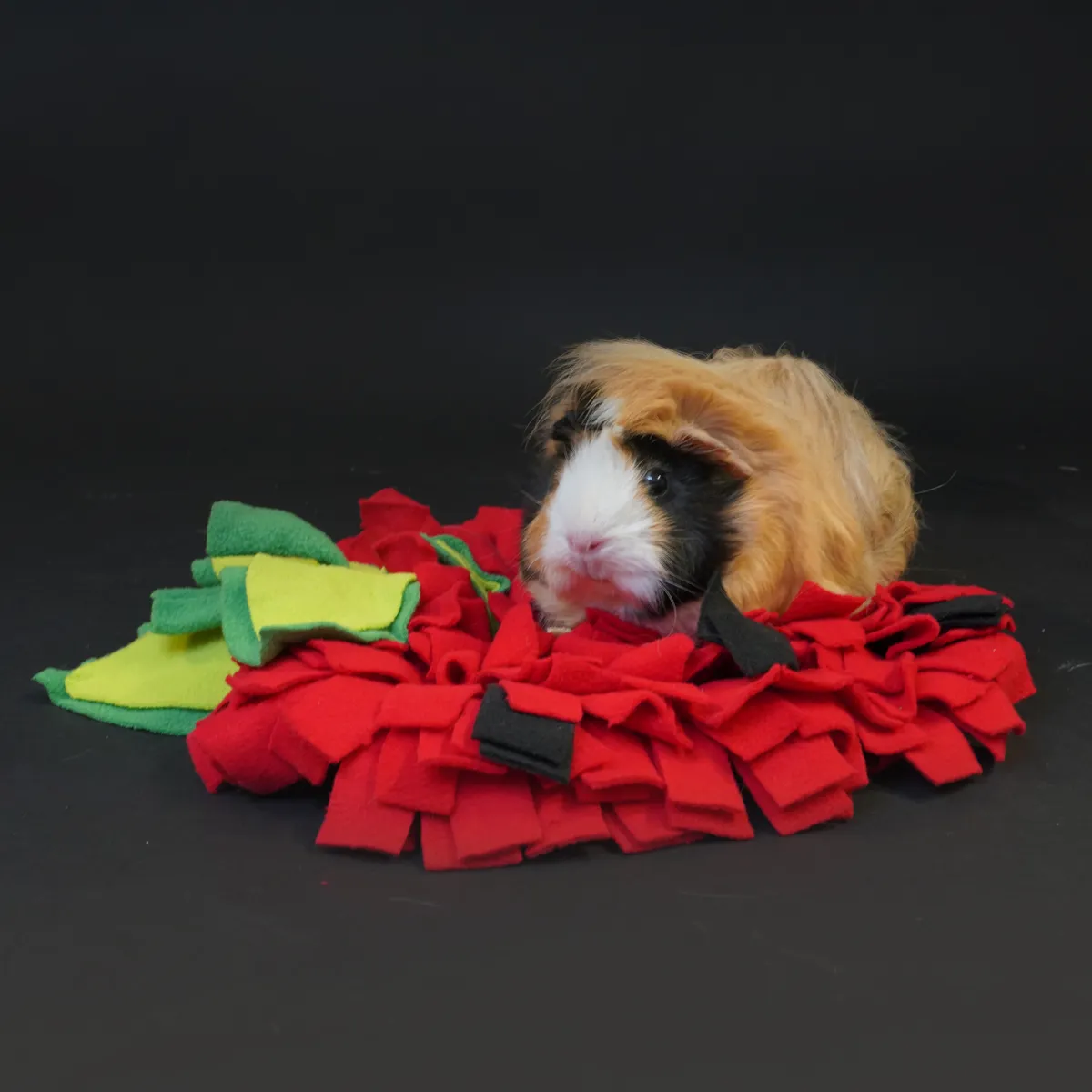 Jouw Cavia Sniff & Find strawberry snuffelmat aardbei