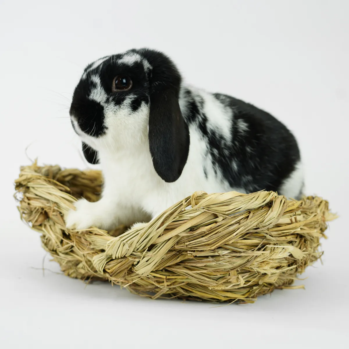 Jouw Konijn Originals Grasmandje knaagmand gras