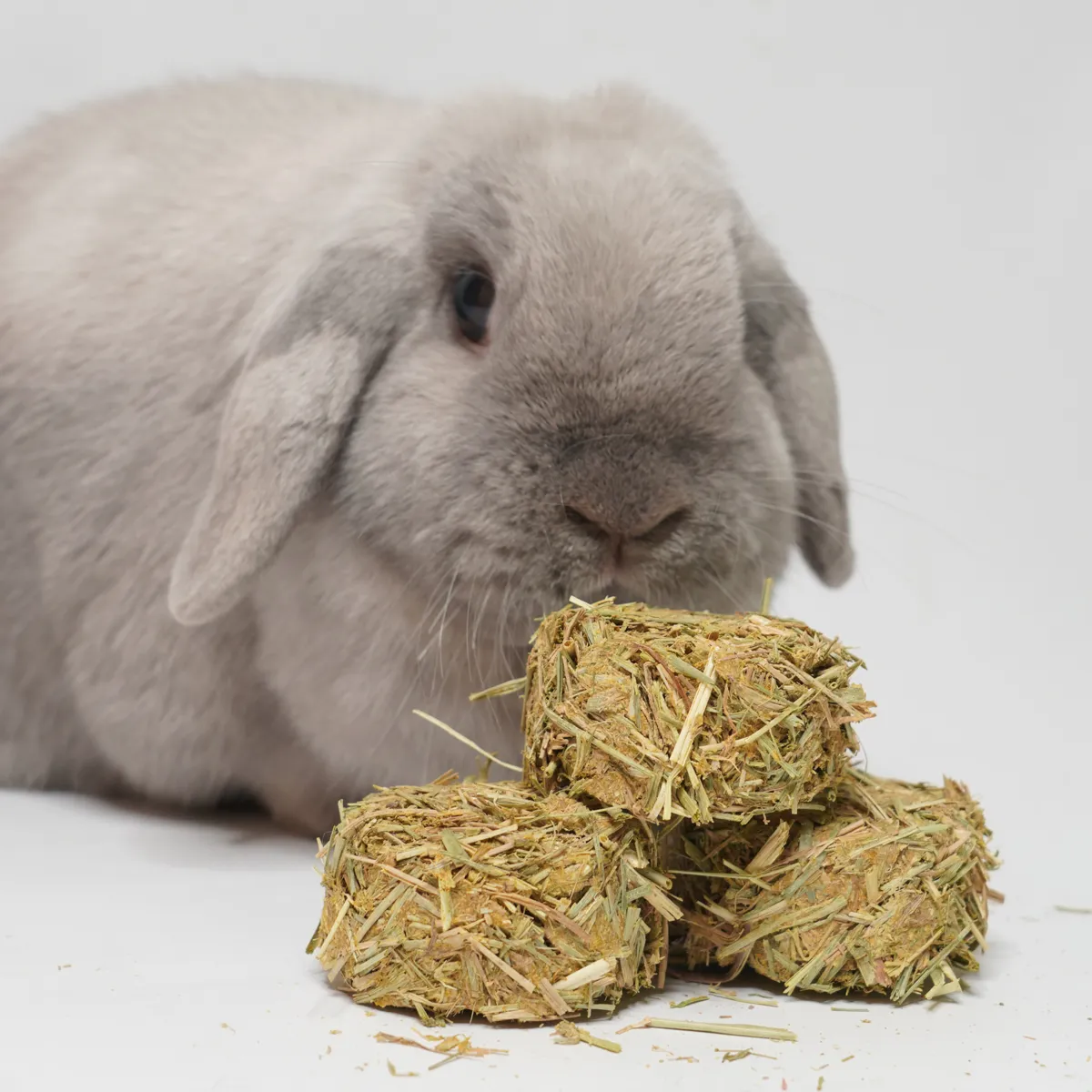 Jouw Cavia KonaCorn weidehooi hooi zacht