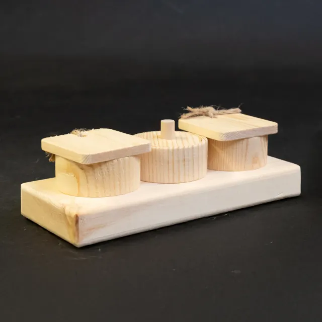 Jouw Cavia Lift & Find Mini denkspel hout