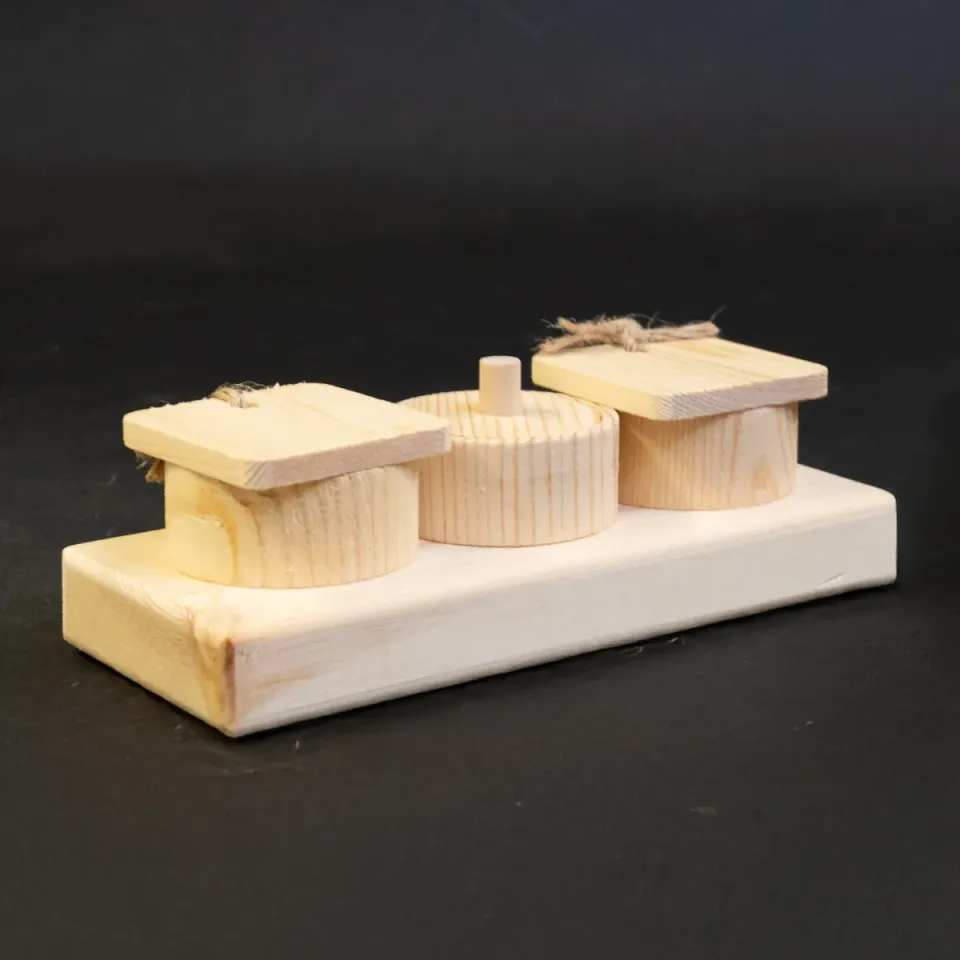 Jouw Cavia Lift & Find Mini denkspel hout