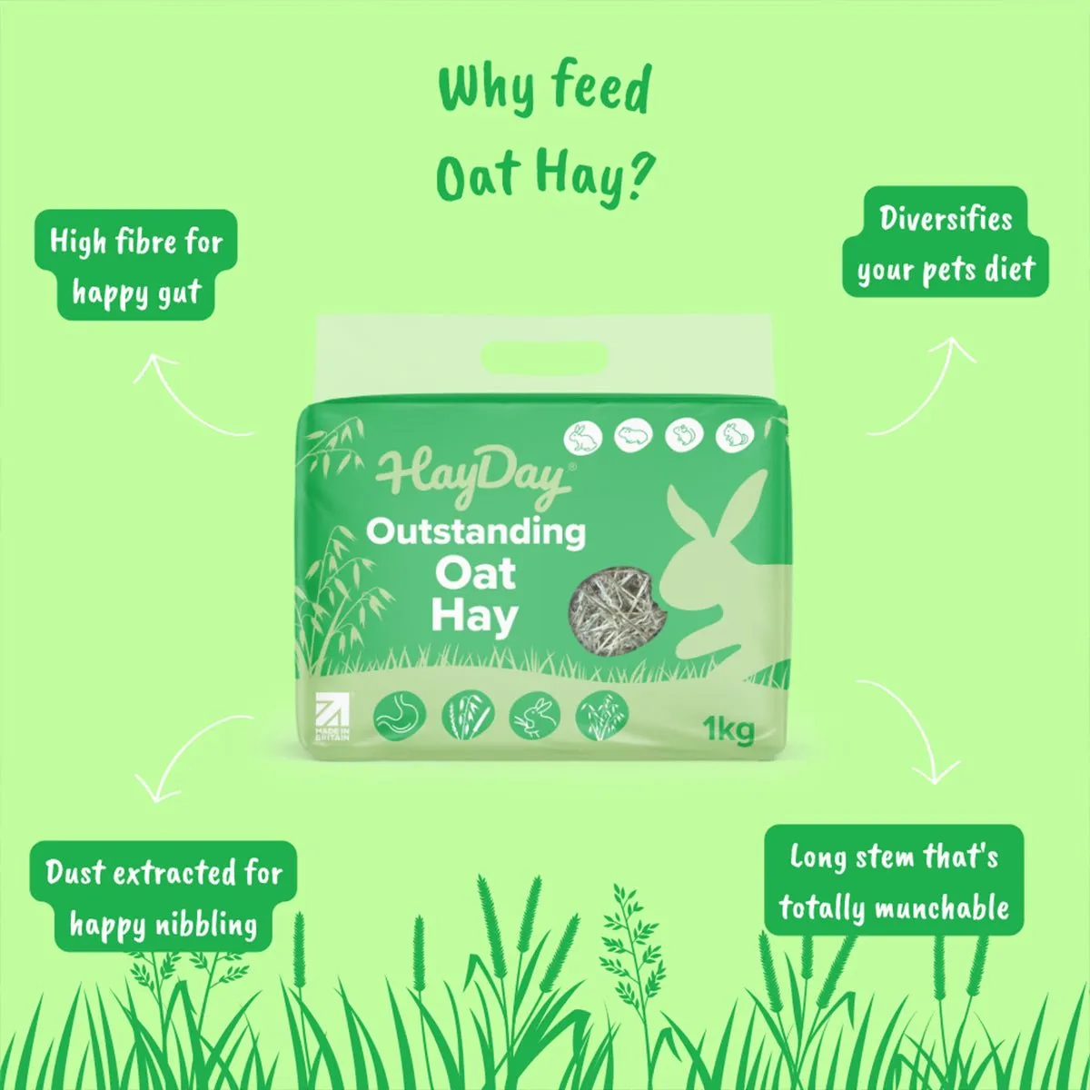 HayDay Oat Hay haverhooi 1kg vezelrijk
