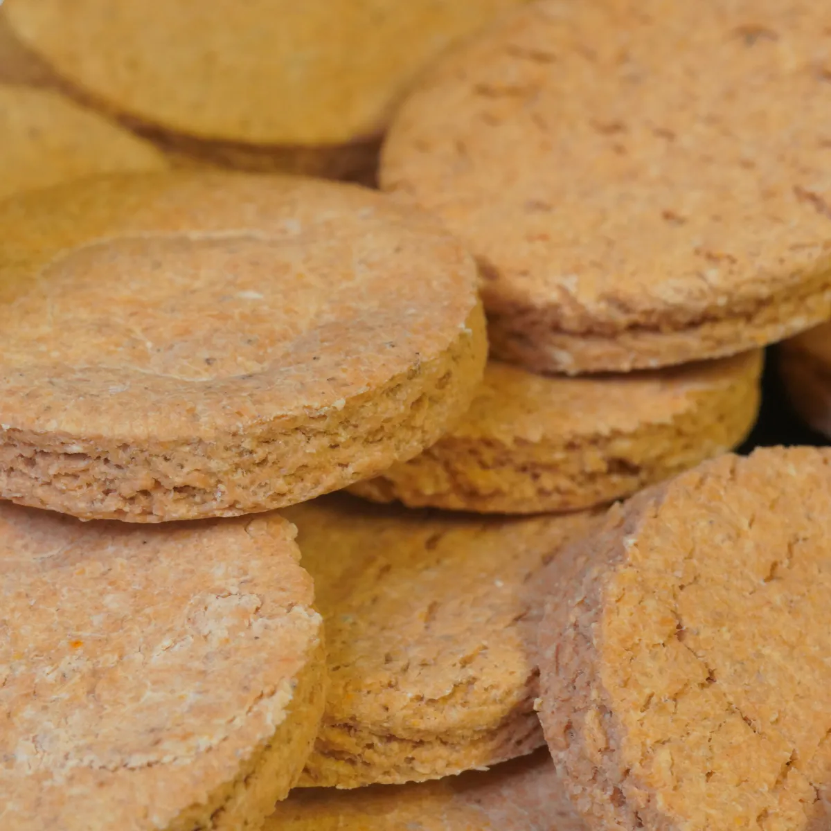 Jouw Cavia Tasty Tomato Cookies snack tomaat