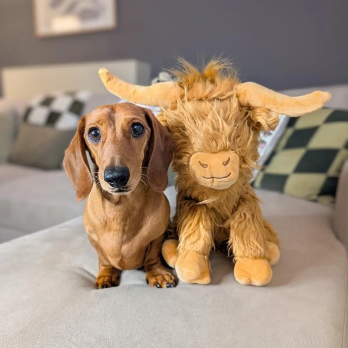 Nature First Highland Cow Jumbo hondenknuffel bruin met piep
