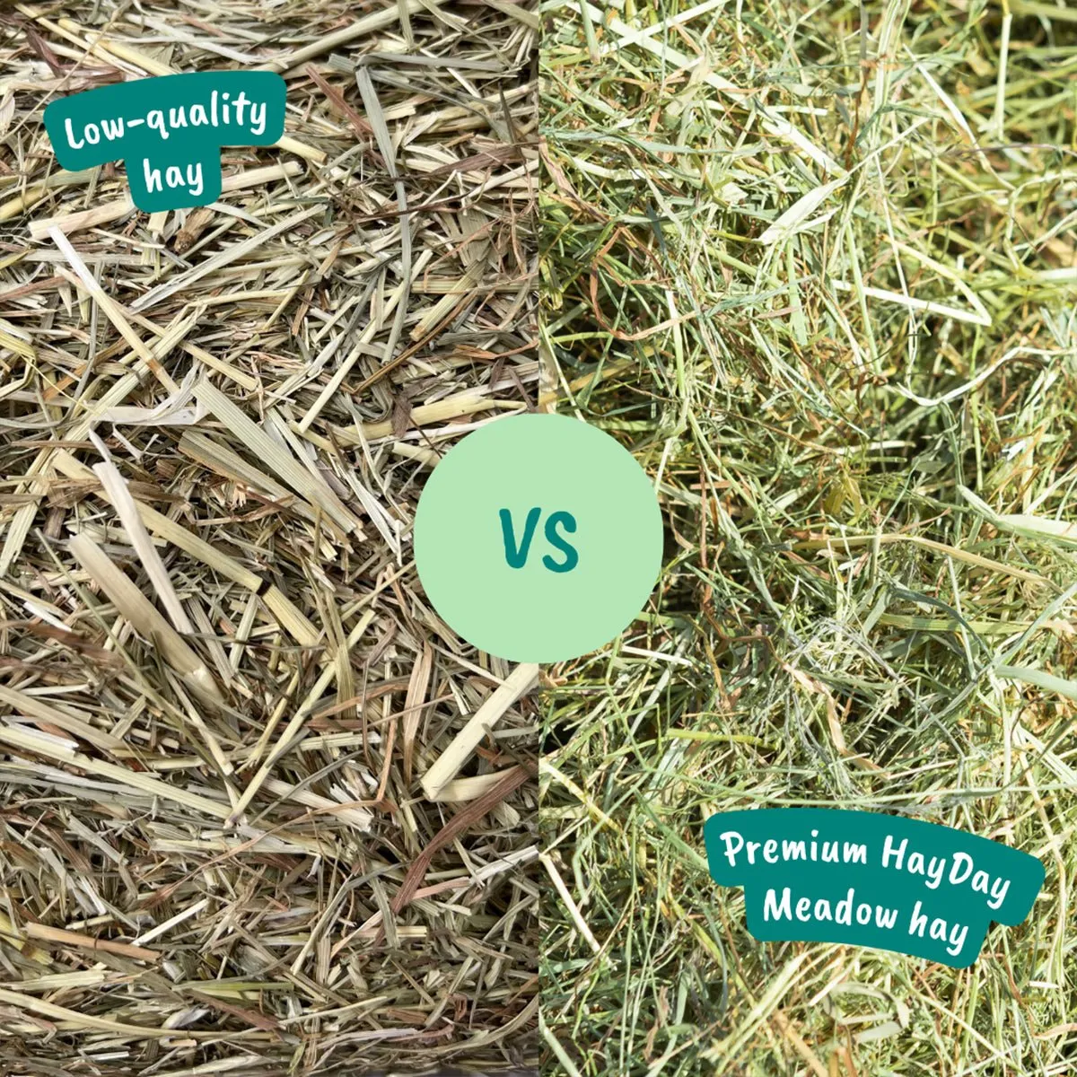 HayDay Moreish Meadow weidehooi 1 kg vezelrijk zacht