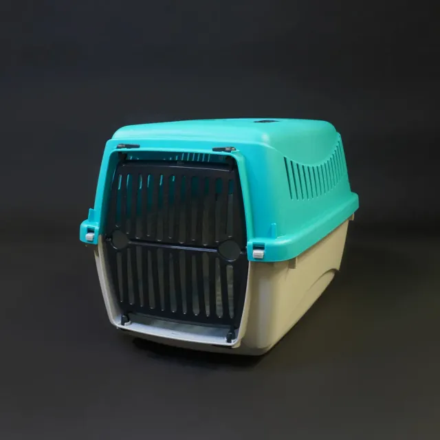Jouw Cavia Reismand XS vervoersbox grijs turquoise
