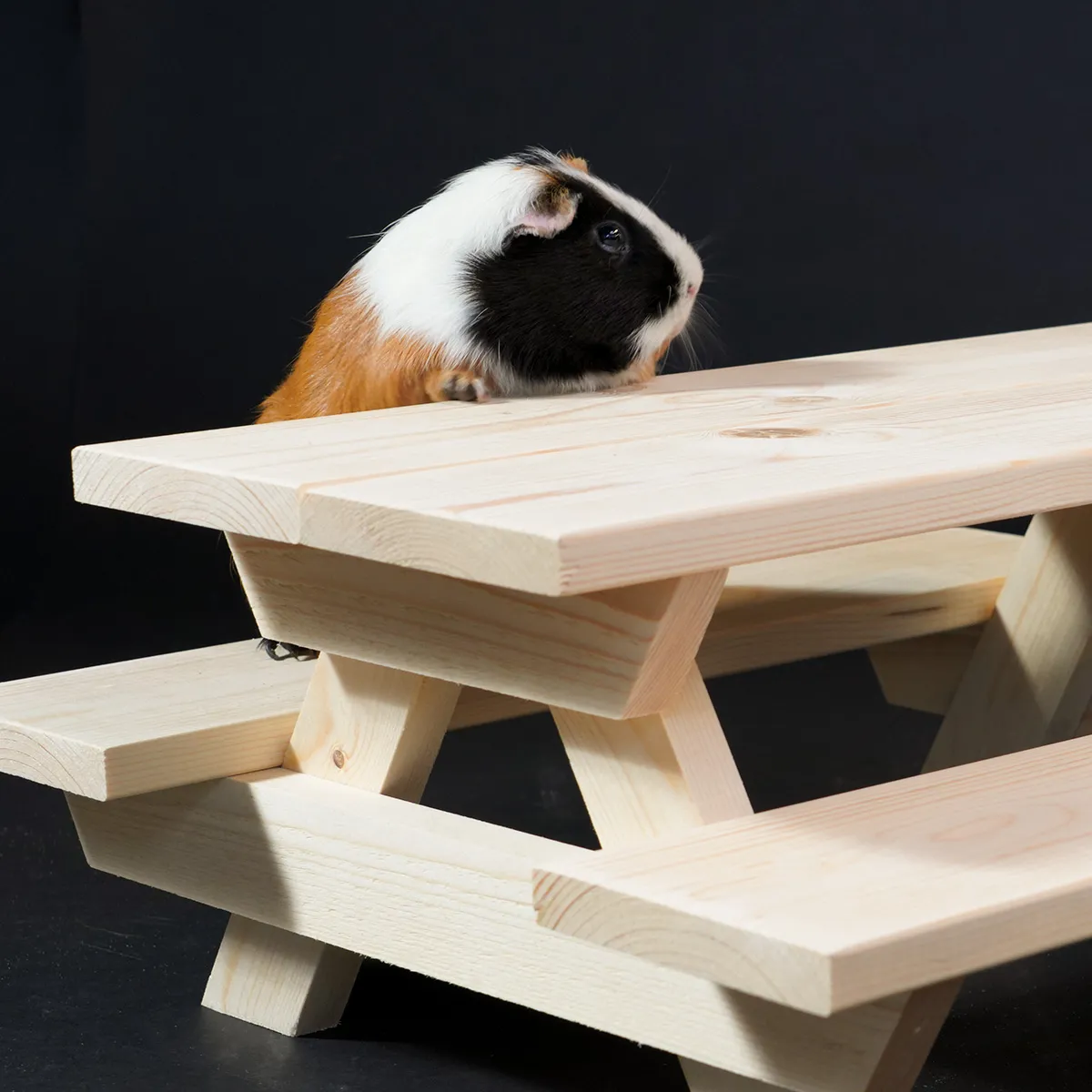 Jouw Cavia Picknicktafel M houten schuilplek vuren