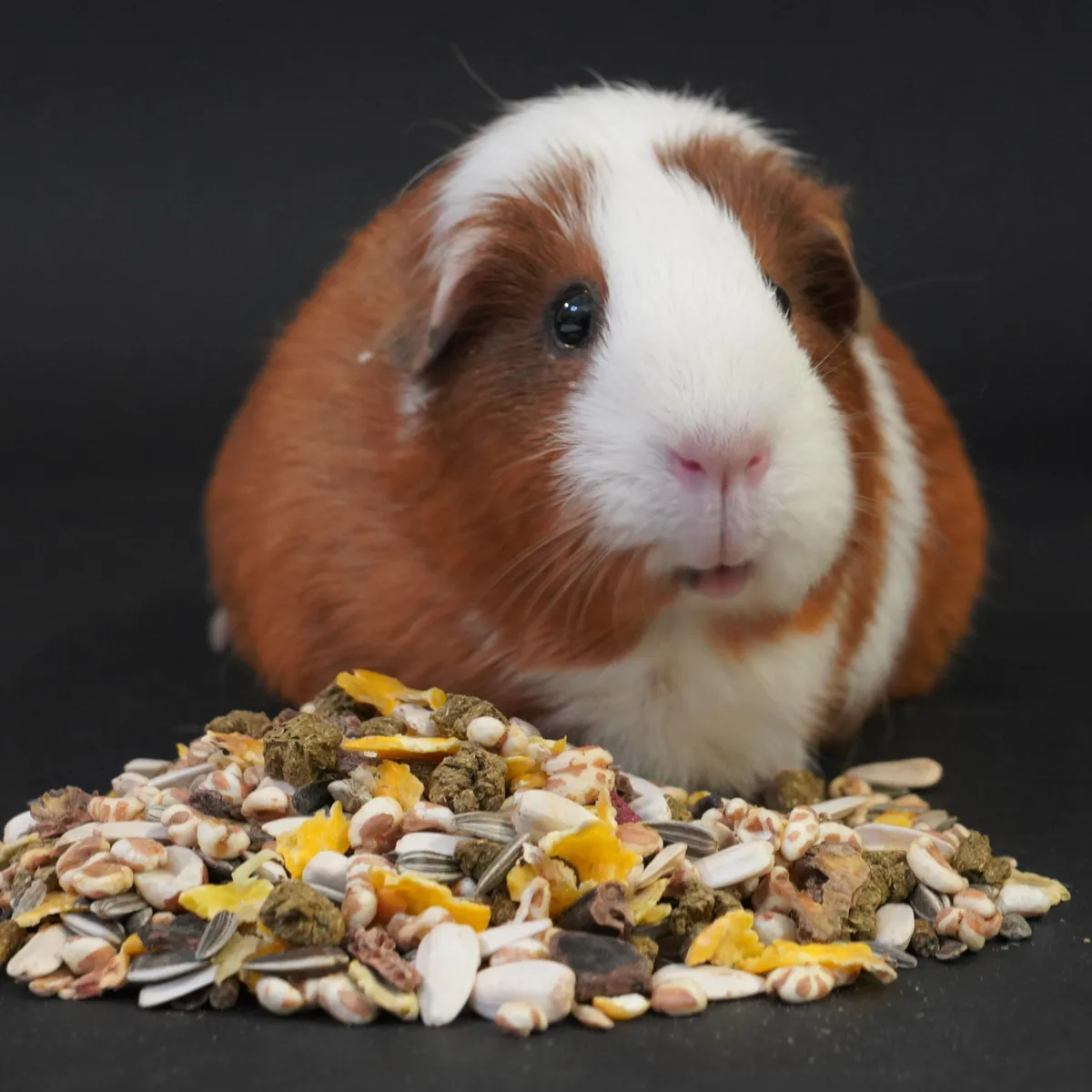 Jouw Cavia KonaCorn Caviamix compleet caviavoer
