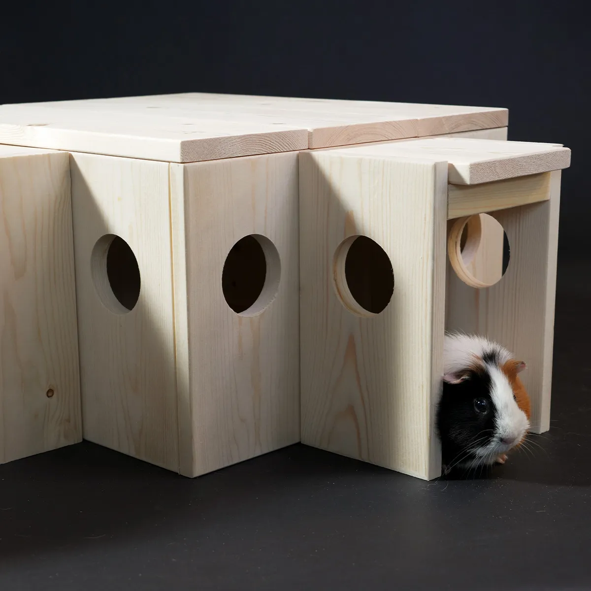 Jouw Cavia Heimdall schuilhuis vurenhout modulair