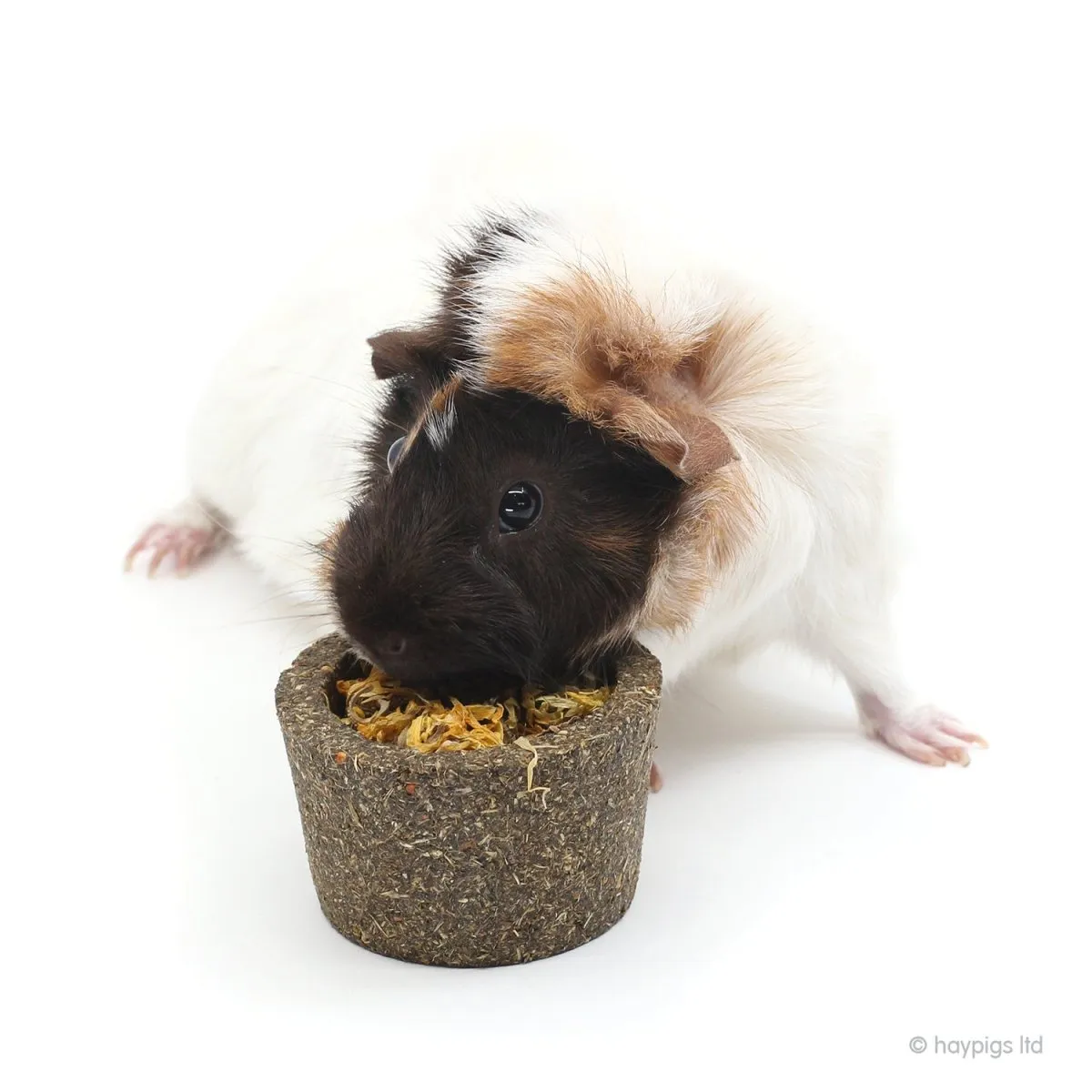 HayPigs Sunshine Treats snackbundel 6-delig bloemen