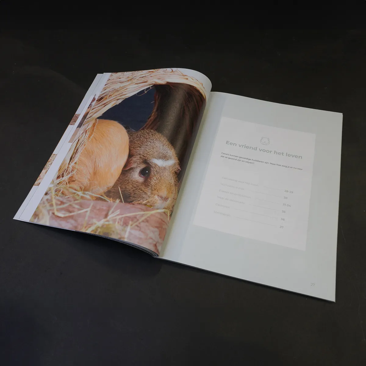 Jouw Cavia boek verzorging huisvesting en voeding