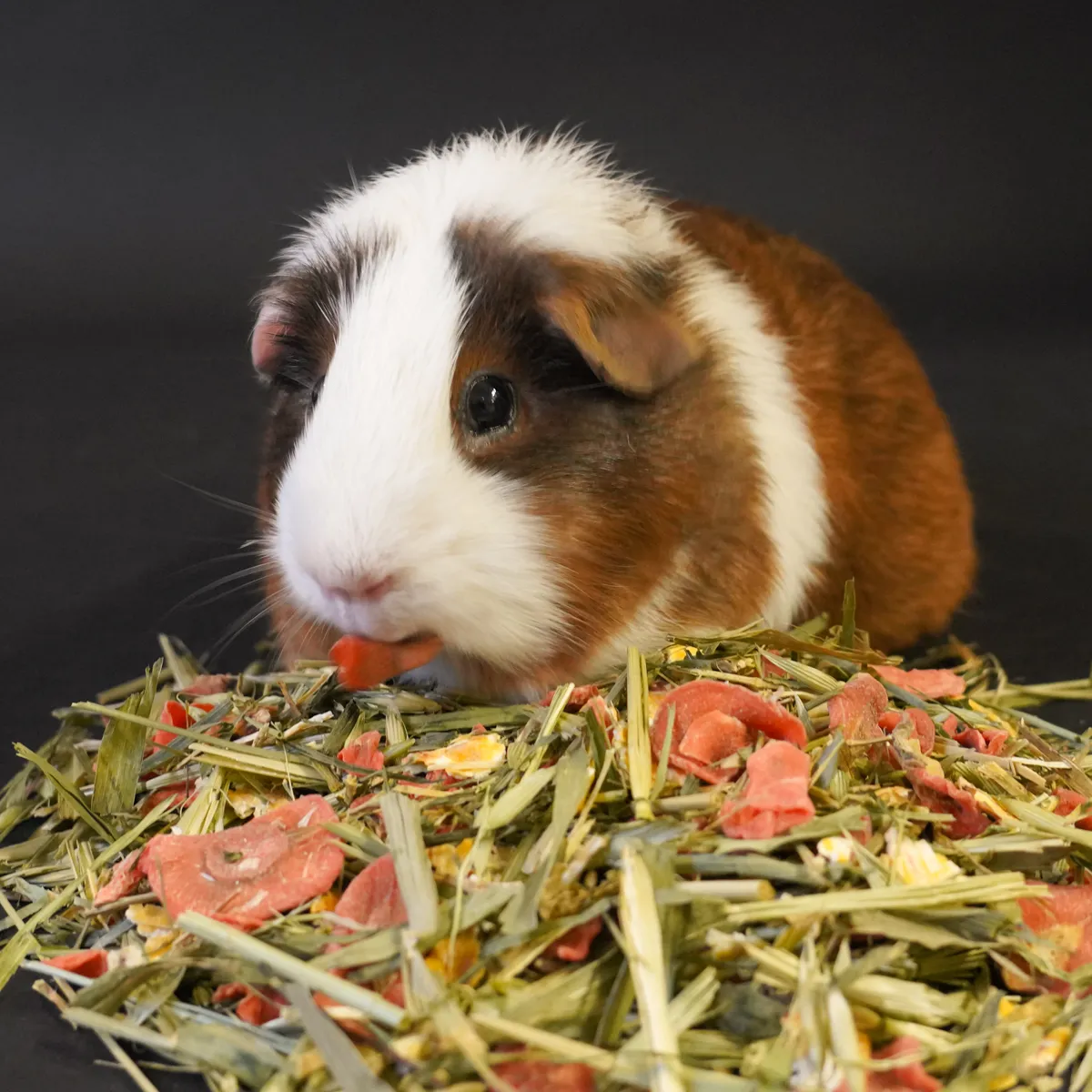 Jouw Cavia Tuinmix snack vitamines cavia