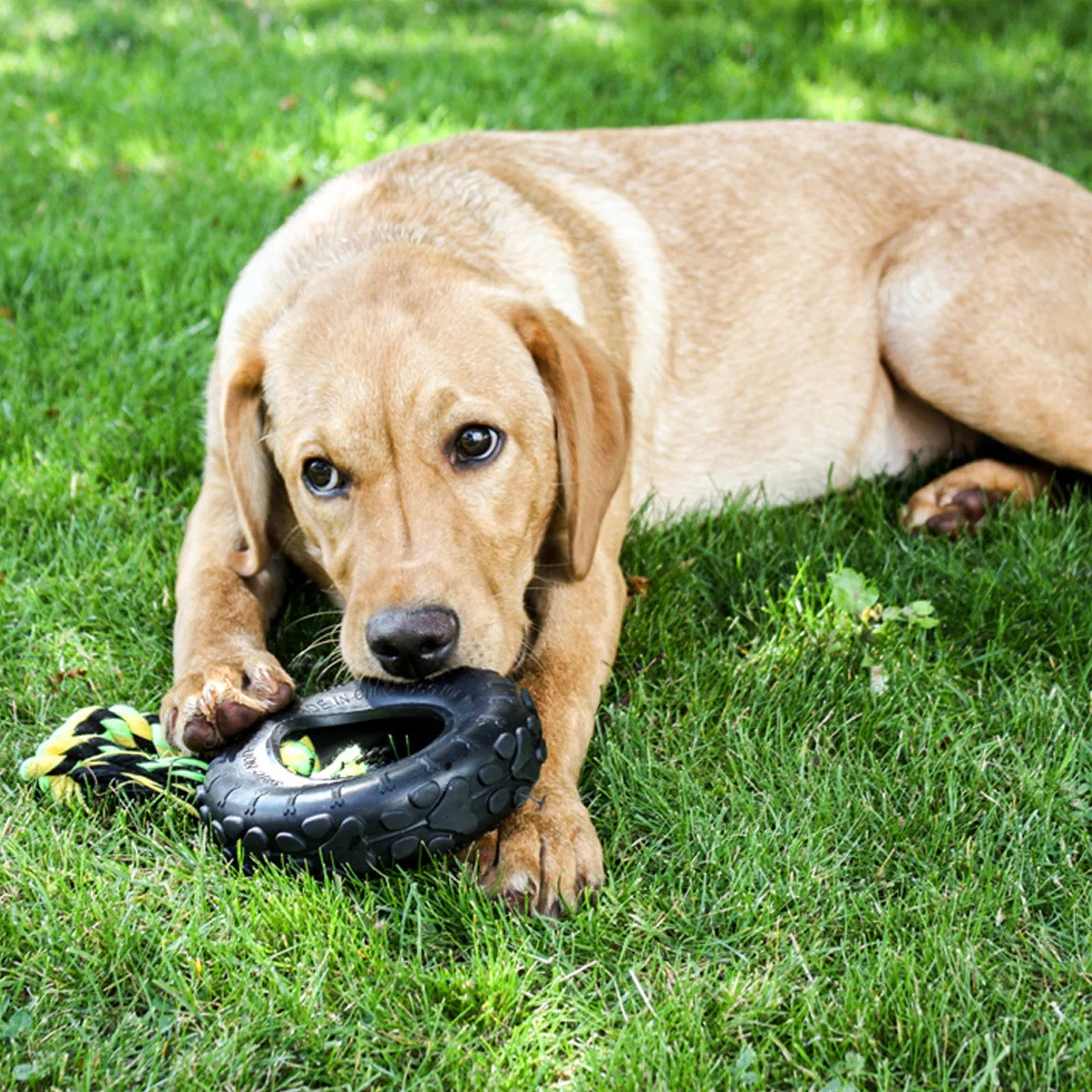 Nature First Grrrelli Tyre Tugger trekspeeltje hond rubber