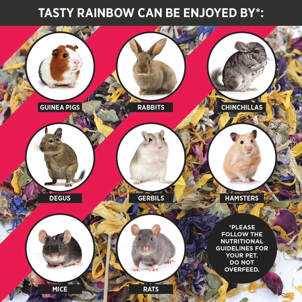 HayPigs Pig n Mix Tasty Rainbow snack 100g navulzak bloemen