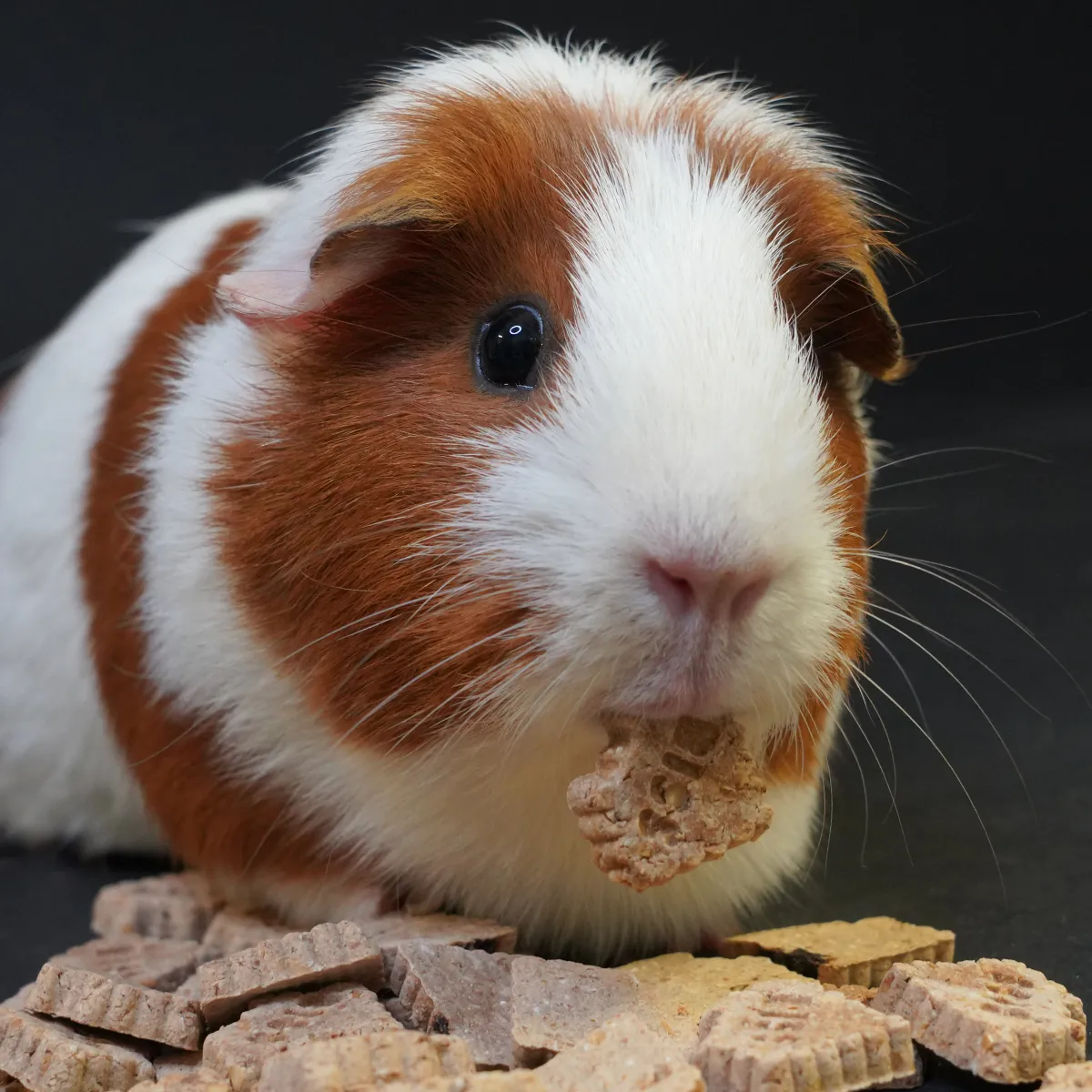 Bunny Nature Crunchy Cracker snack banaan suikervrij