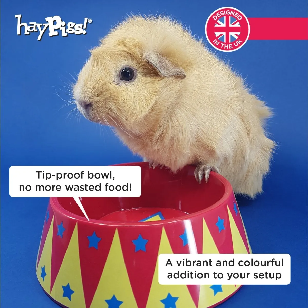 HayPigs Food Craving Tamer voerbak bamboevezel kantelvast 16cm