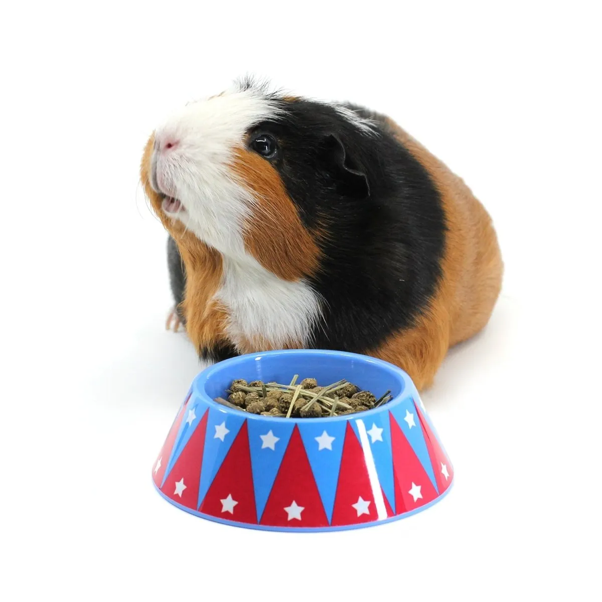 HayPigs Junior Food Tamer voerbakje mini kantelvast