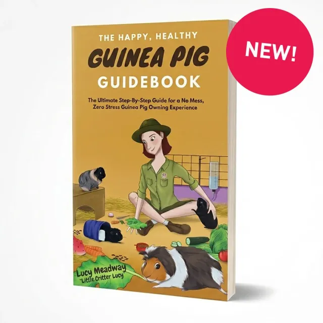 HayPigs Happy Healthy Guinea Pig gidsboek cavia