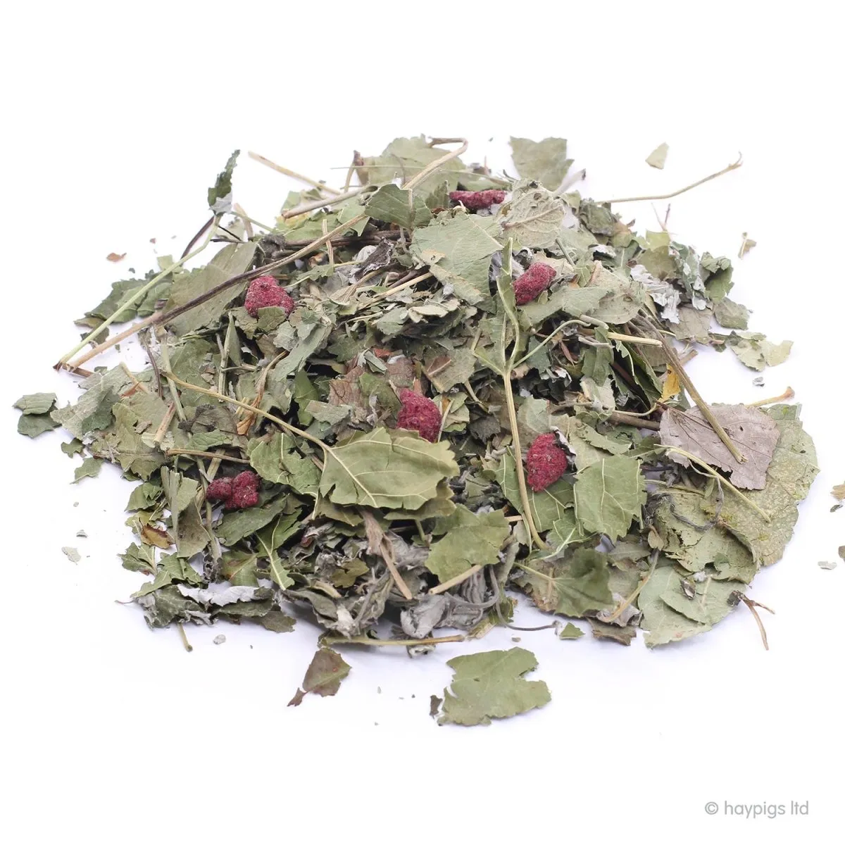HayPigs Fruity Salad Mix snack 6x90g fruitbladeren