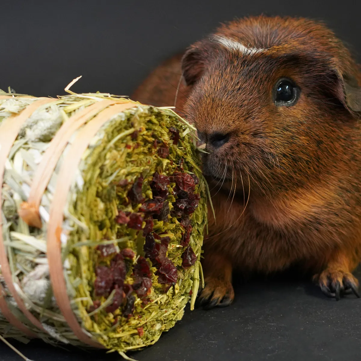 Jouw Cavia Hay Cake Box hooisnack set van 8 smaken