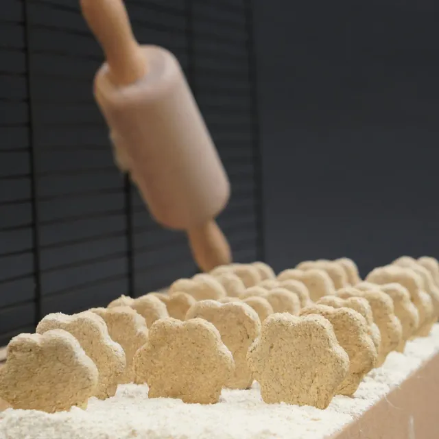 Jouw Cavia Chicory Charm cookies koekjes natuurlijk