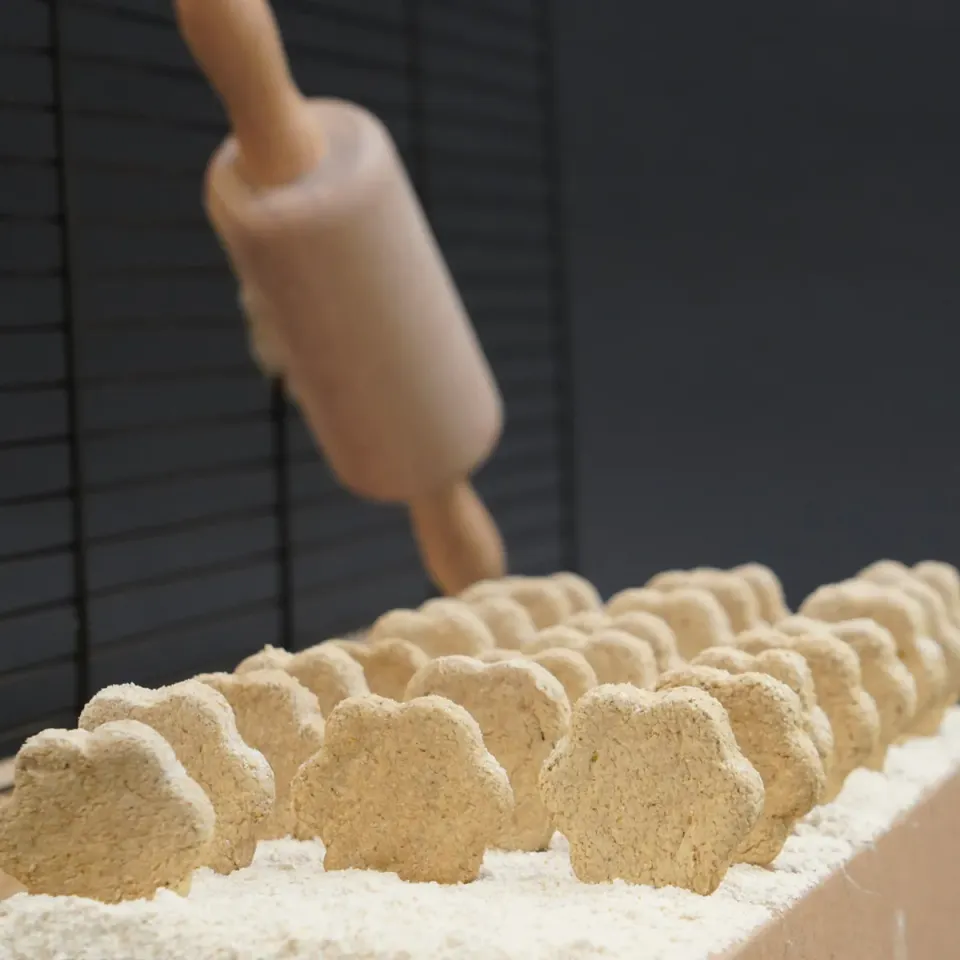 Jouw Cavia Chicory Charm cookies koekjes natuurlijk