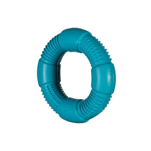 Natures Instinct Chase n Chomp Go-Ring foam hondenspeelgoed