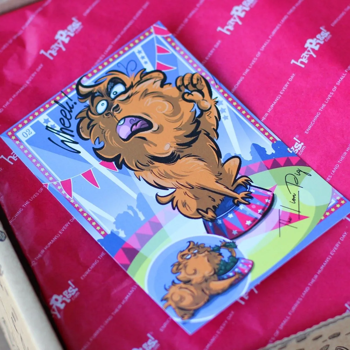 HayPigs Treat Box 02 snackbox cavia konijn luxe