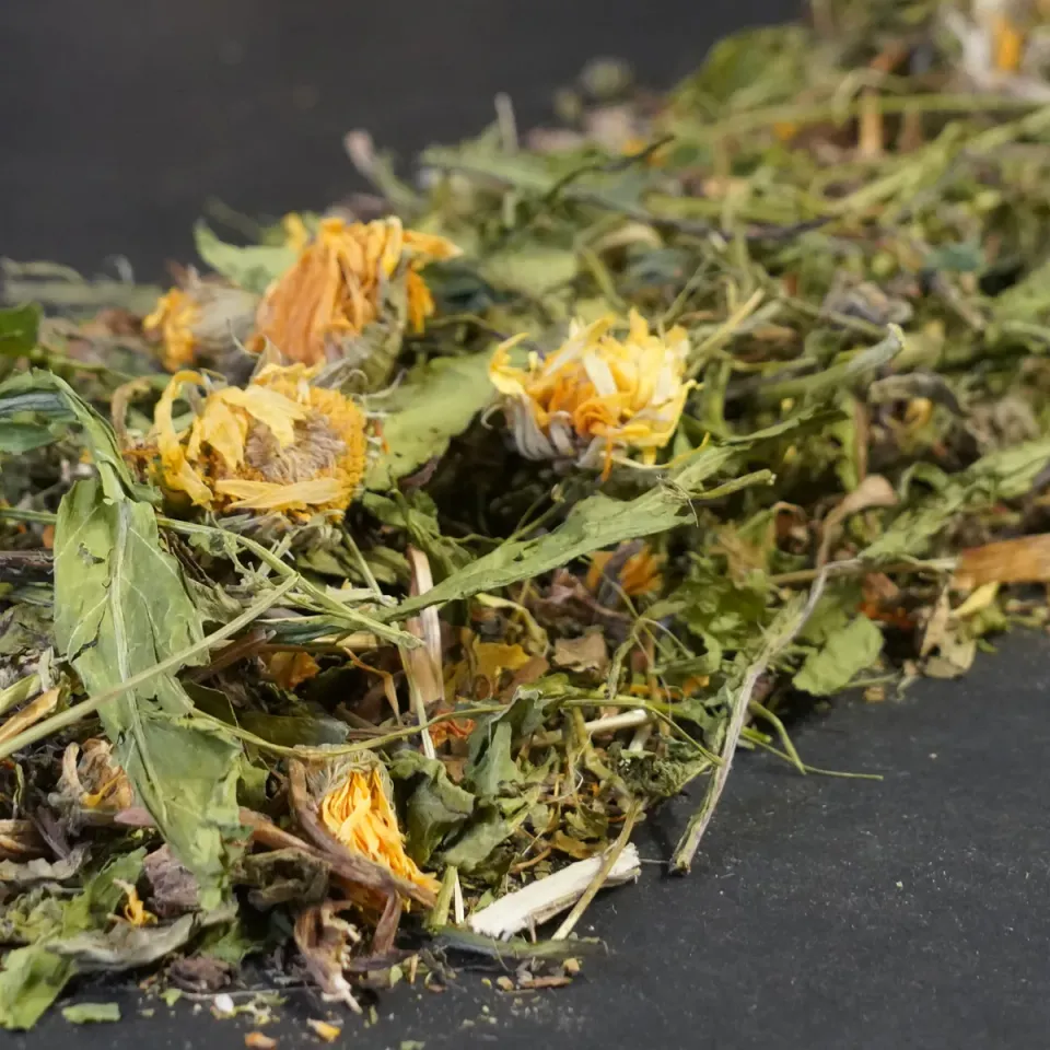 Jouw Cavia Paardenbloem Goudsbloem snack vezelrijk