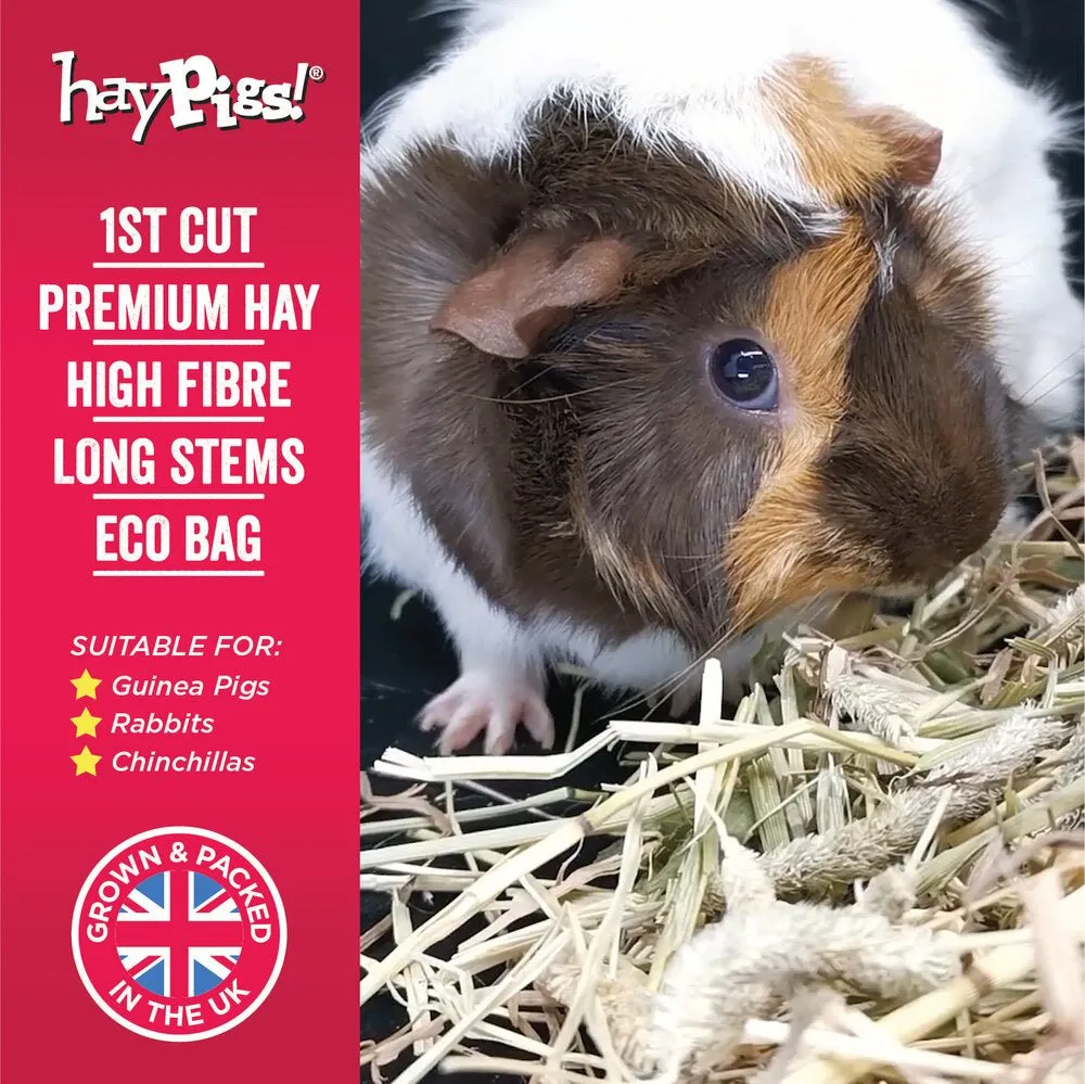 HayPigs Timothy Hay hooi 8x1kg 1e snede vezelrijk