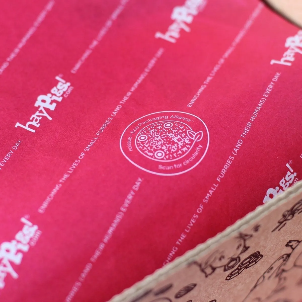 HayPigs Treat Box #16 snackbox voor cavia's 7-delig