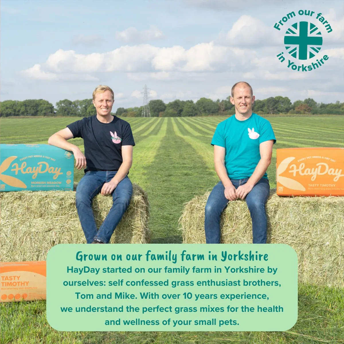 HayDay Moreish Meadow weidehooi 1 kg vezelrijk zacht
