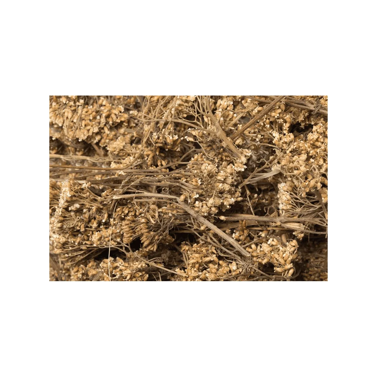 Bounty Paradise NT Duizendbladbloemen kruiden 50 gr vezelrijk