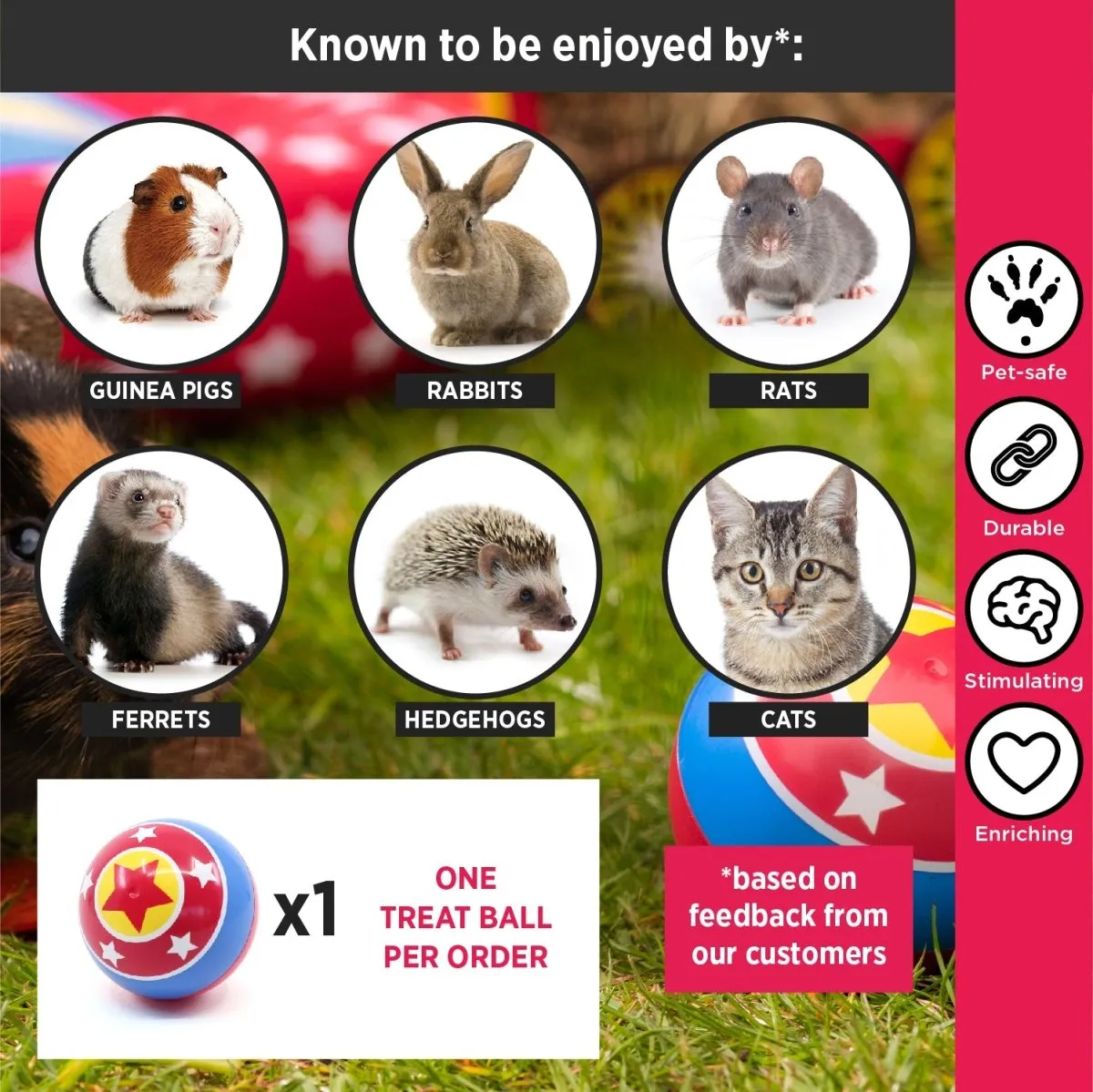 HayPigs Circus Treat Ball snackbal 3-in-1 kunststof