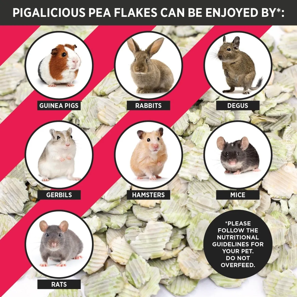 HayPigs Pigalicious Pea Flakes snack startersset 2x300g