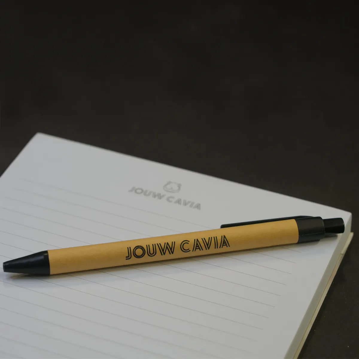Jouw Cavia Notebook notitieboek met pen cavia