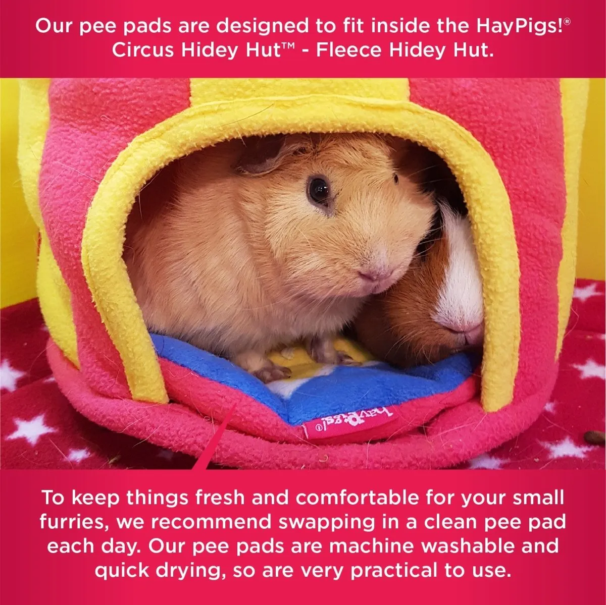 HayPigs Circus Pee Pads plasmatten 2 stuks 22cm fleece