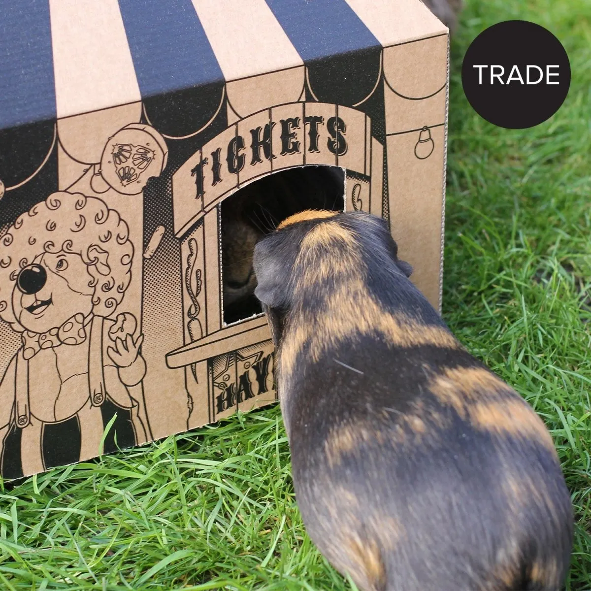 HayPigs Pig Top Playhouse speelhuis karton circus 33x33x40cm