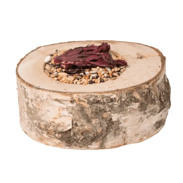 BirdCare Knabberpizza Saaten knaagpizza S 5 cm zaden