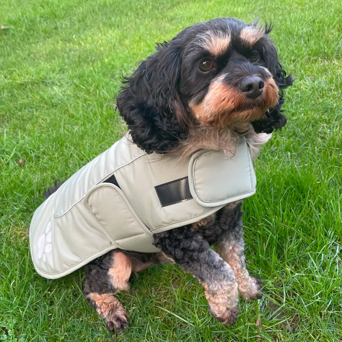 Nature First Paw Print hondenjas waterdicht met fleece