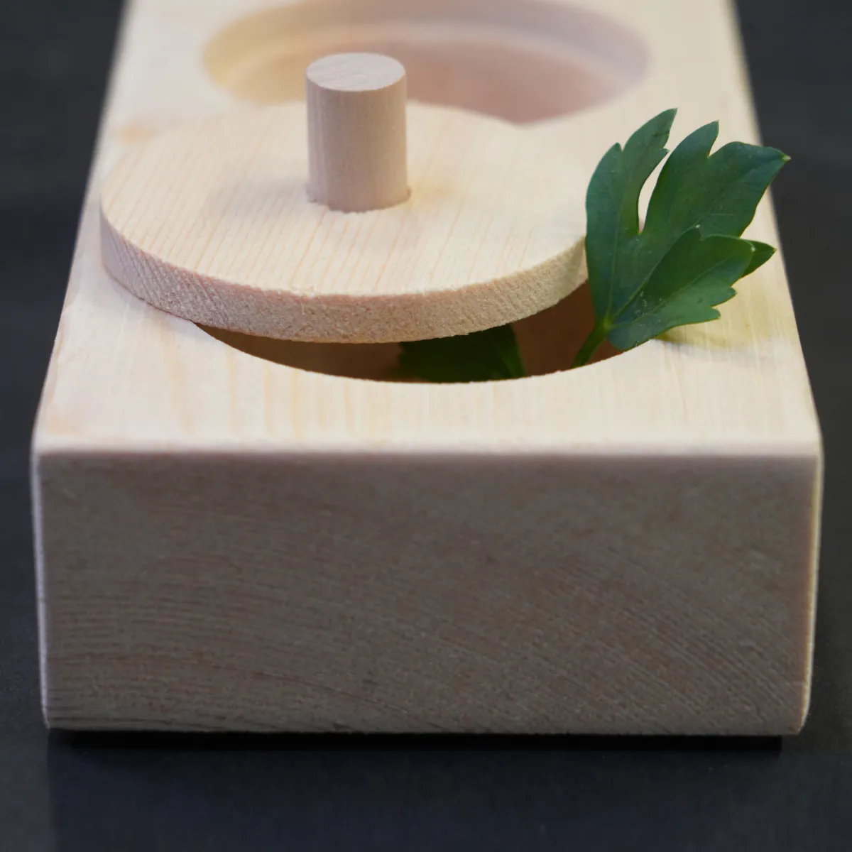 Jouw Cavia Pick & Find Mini houten spel denkspel