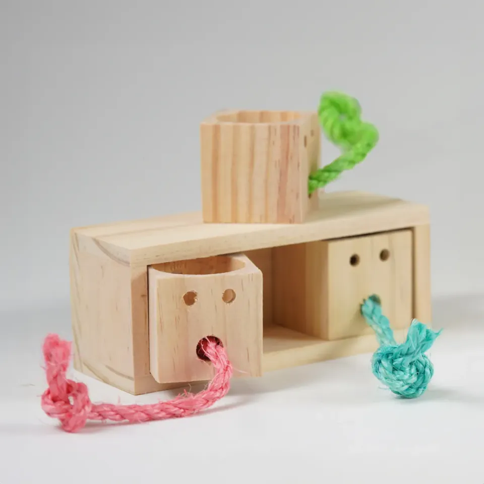 Jouw Konijn Originals Pull & Find Wood denkspel