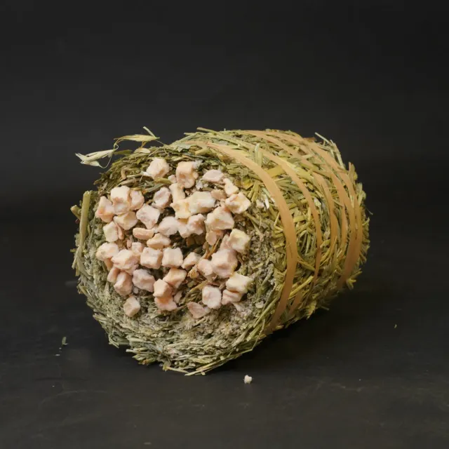Jouw Cavia Hay Cake hooikoek appel vitamine C